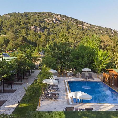 Koala Bungalows Olympos Eksteriør bilde