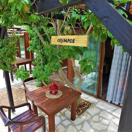 Koala Bungalows Olympos Eksteriør bilde
