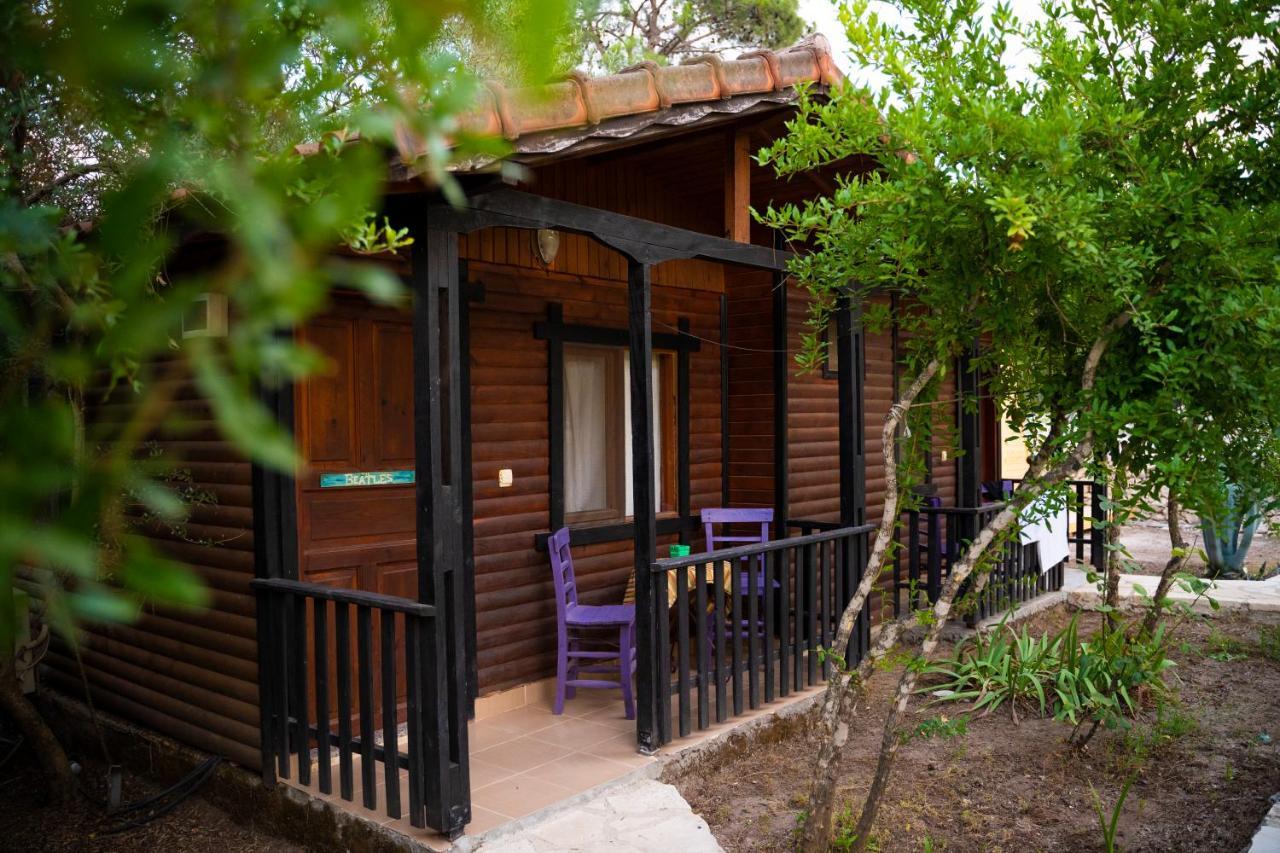 Koala Bungalows Olympos Eksteriør bilde