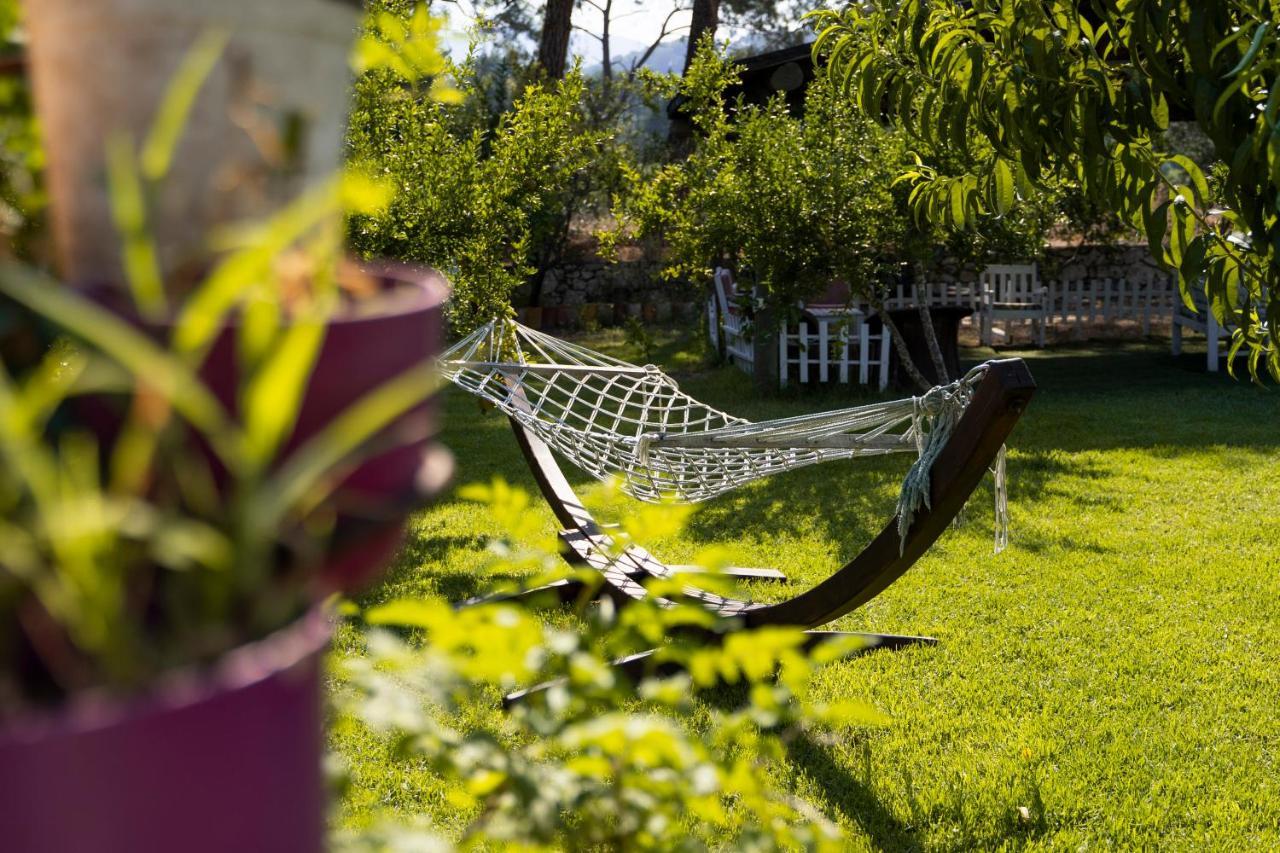 Koala Bungalows Olympos Eksteriør bilde