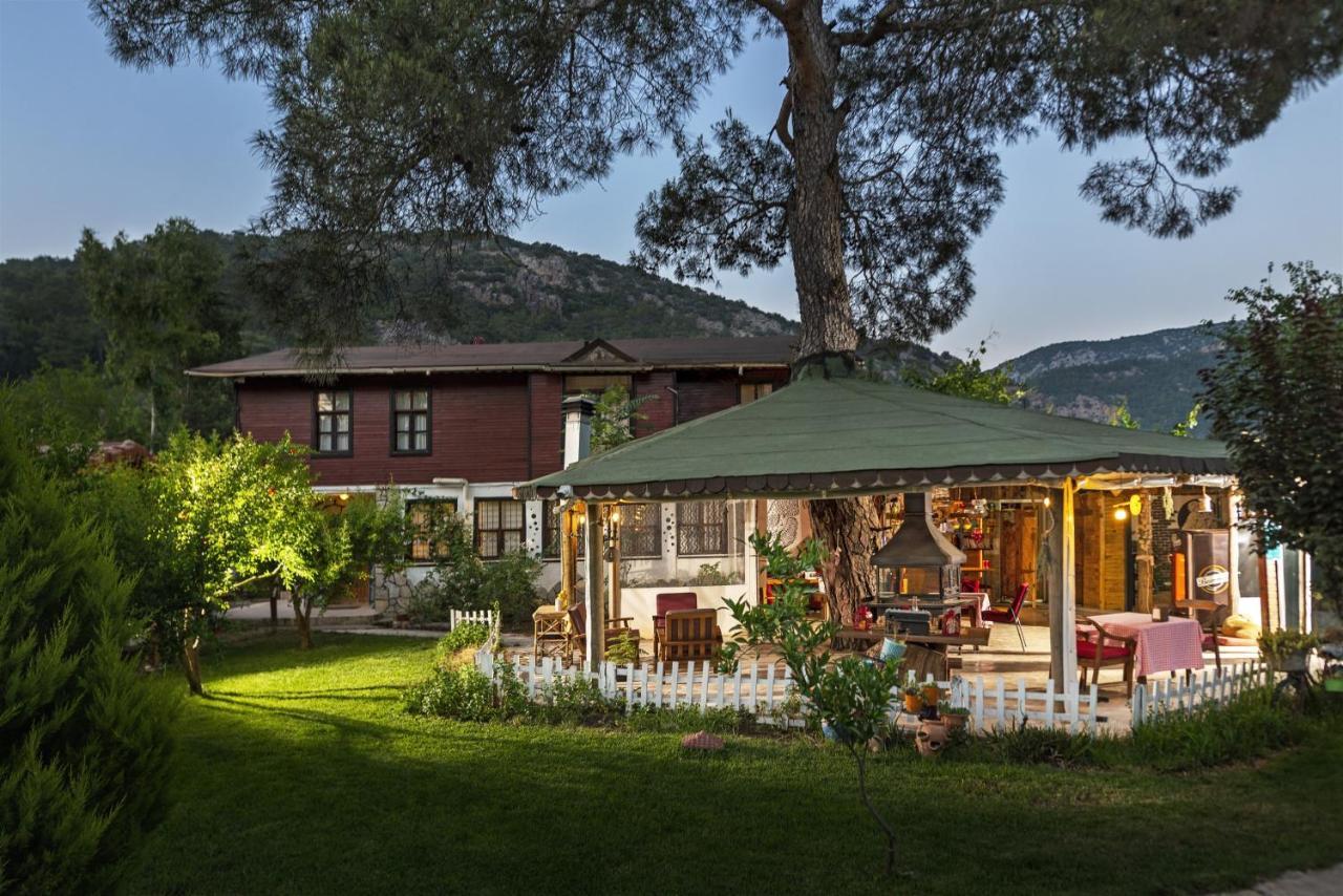 Koala Bungalows Olympos Eksteriør bilde