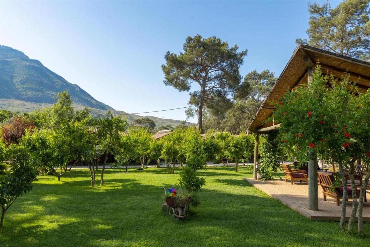 Koala Bungalows Olympos Eksteriør bilde