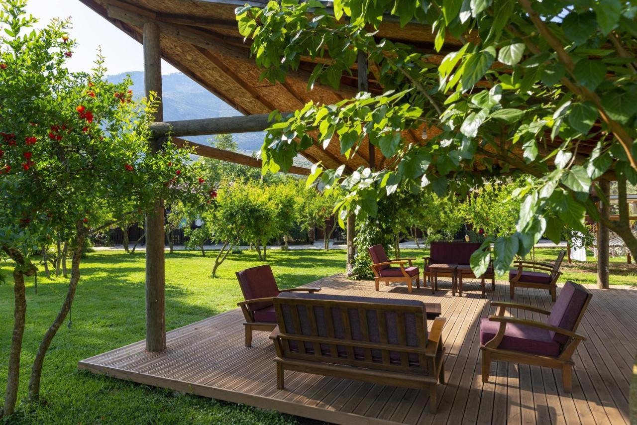Koala Bungalows Olympos Eksteriør bilde