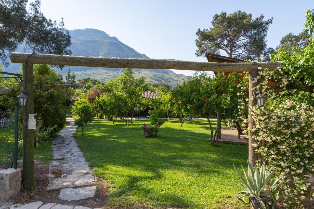 Koala Bungalows Olympos Eksteriør bilde