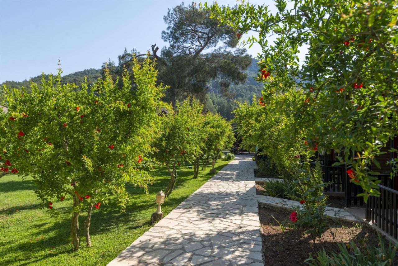 Koala Bungalows Olympos Eksteriør bilde