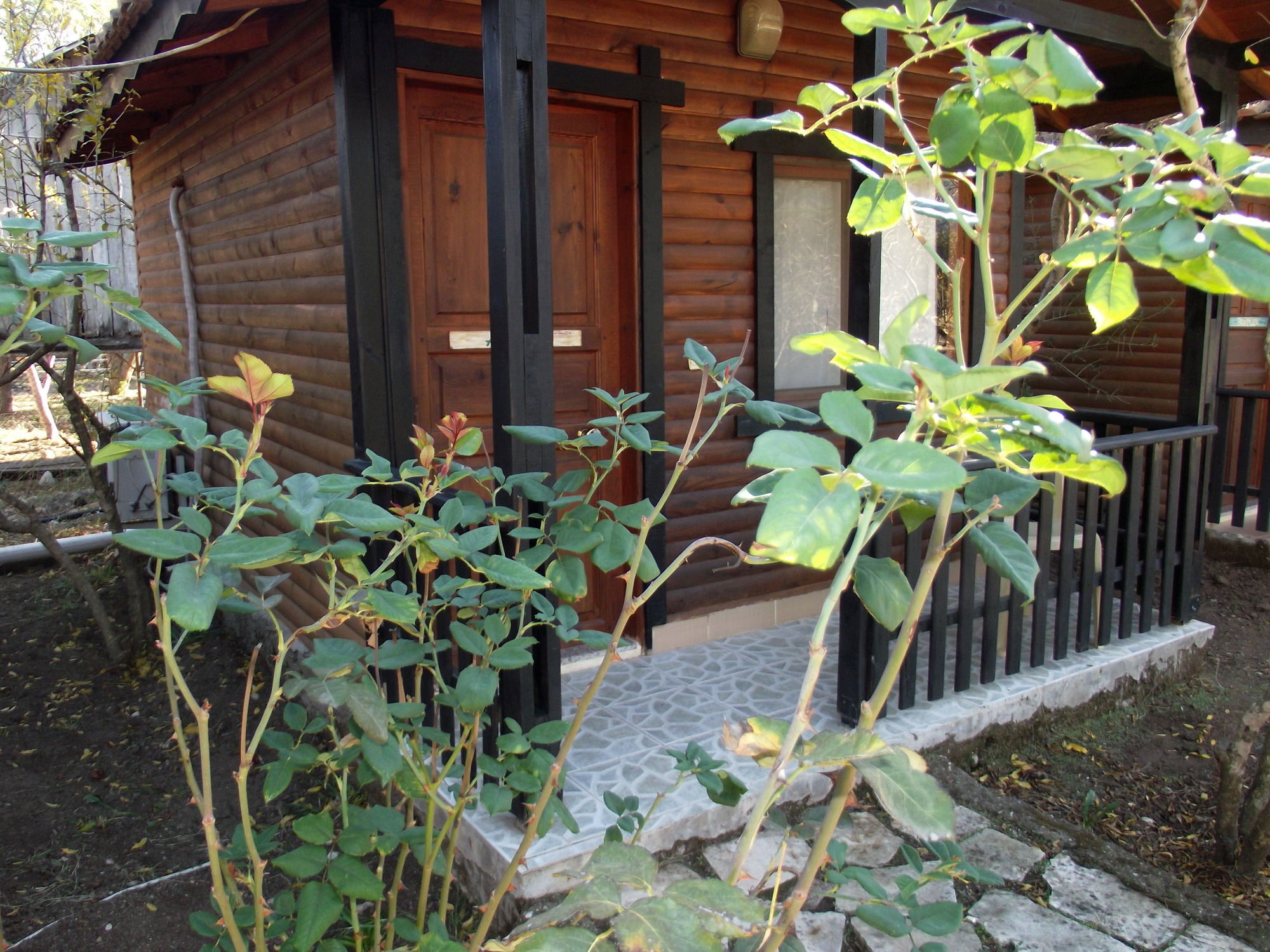 Koala Bungalows Olympos Eksteriør bilde