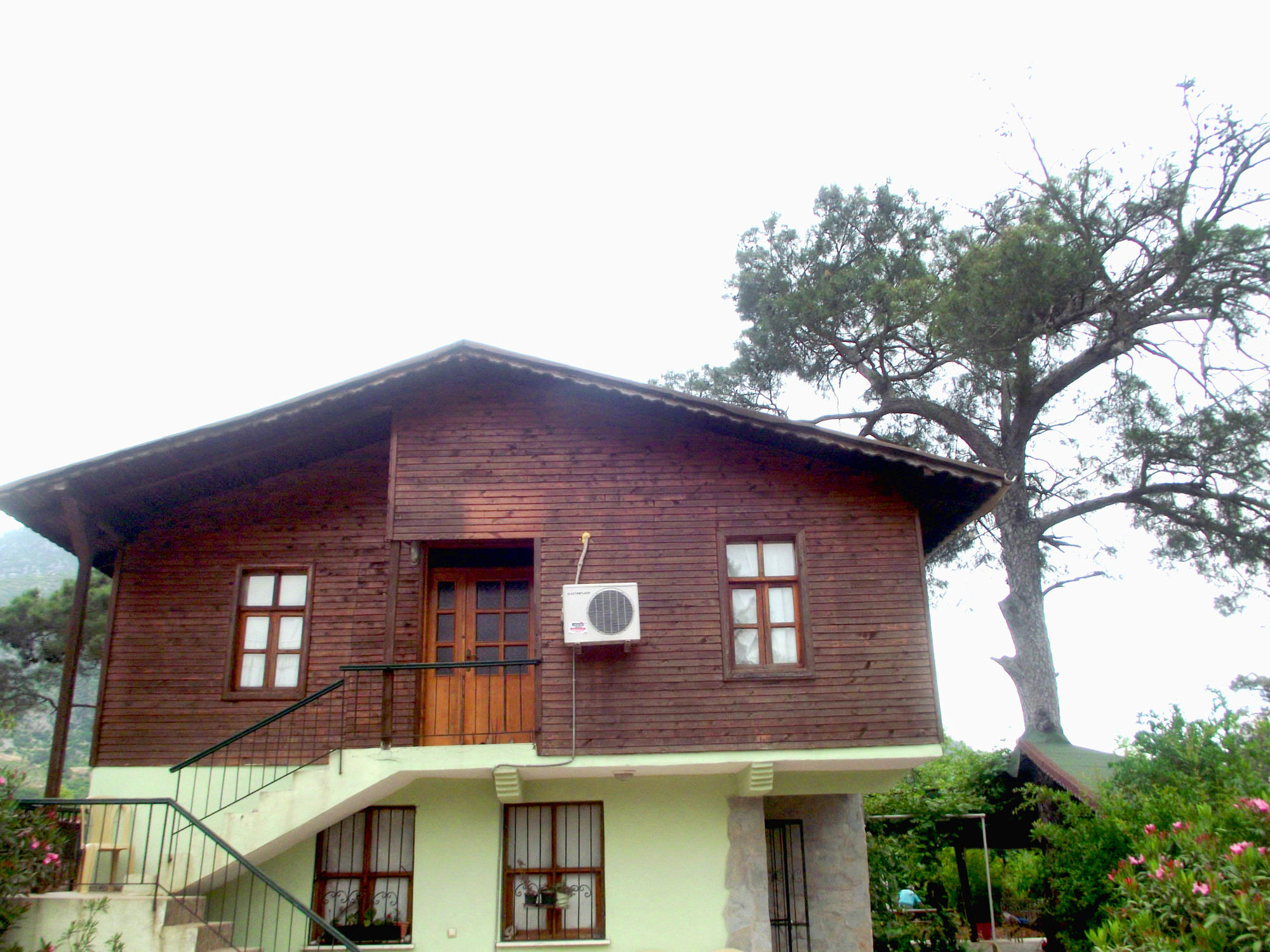 Koala Bungalows Olympos Eksteriør bilde