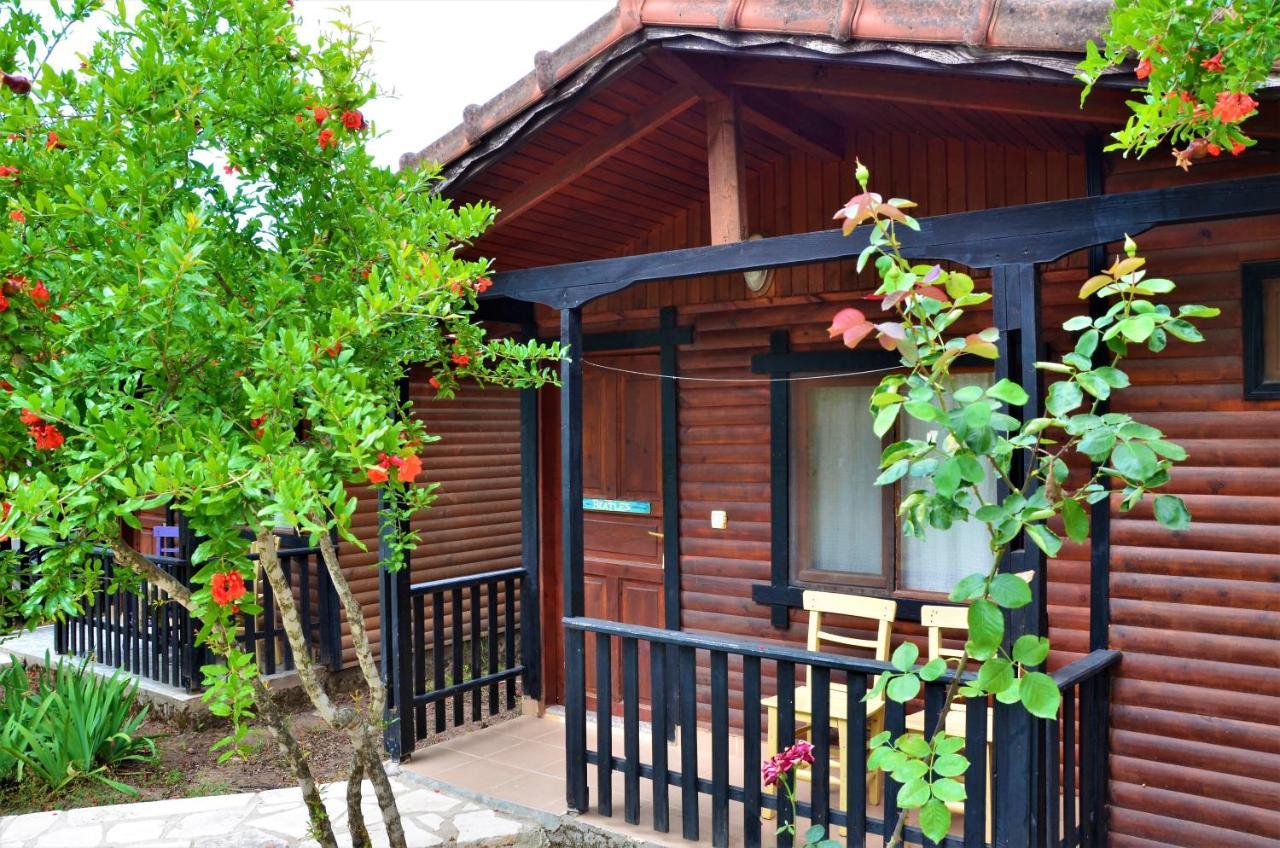 Koala Bungalows Olympos Eksteriør bilde